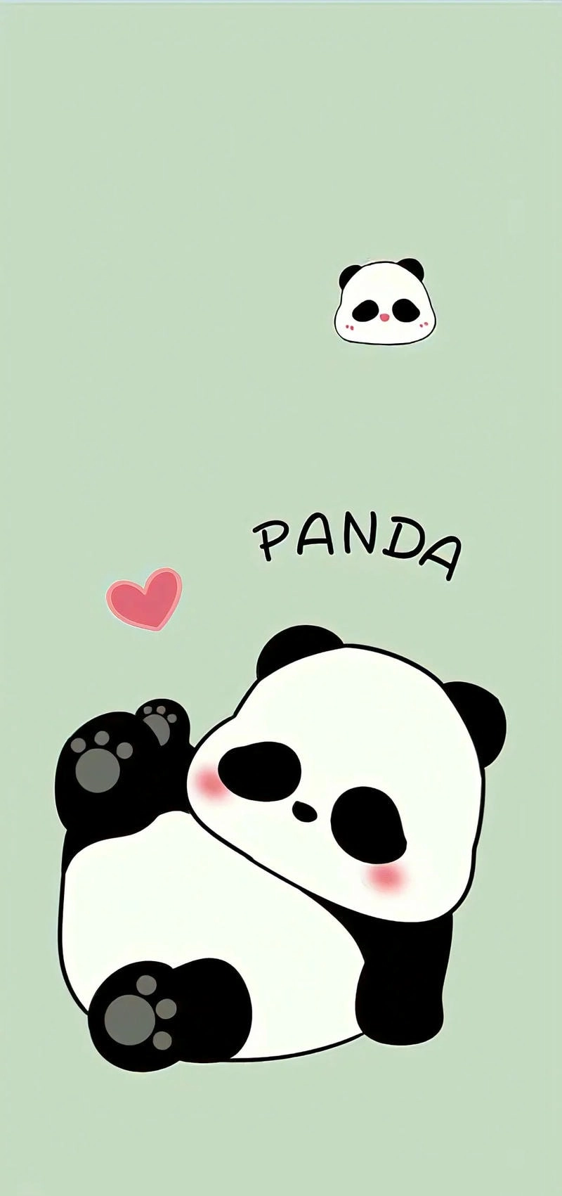 Ảnh Gấu Trúc Panda cute full HD
