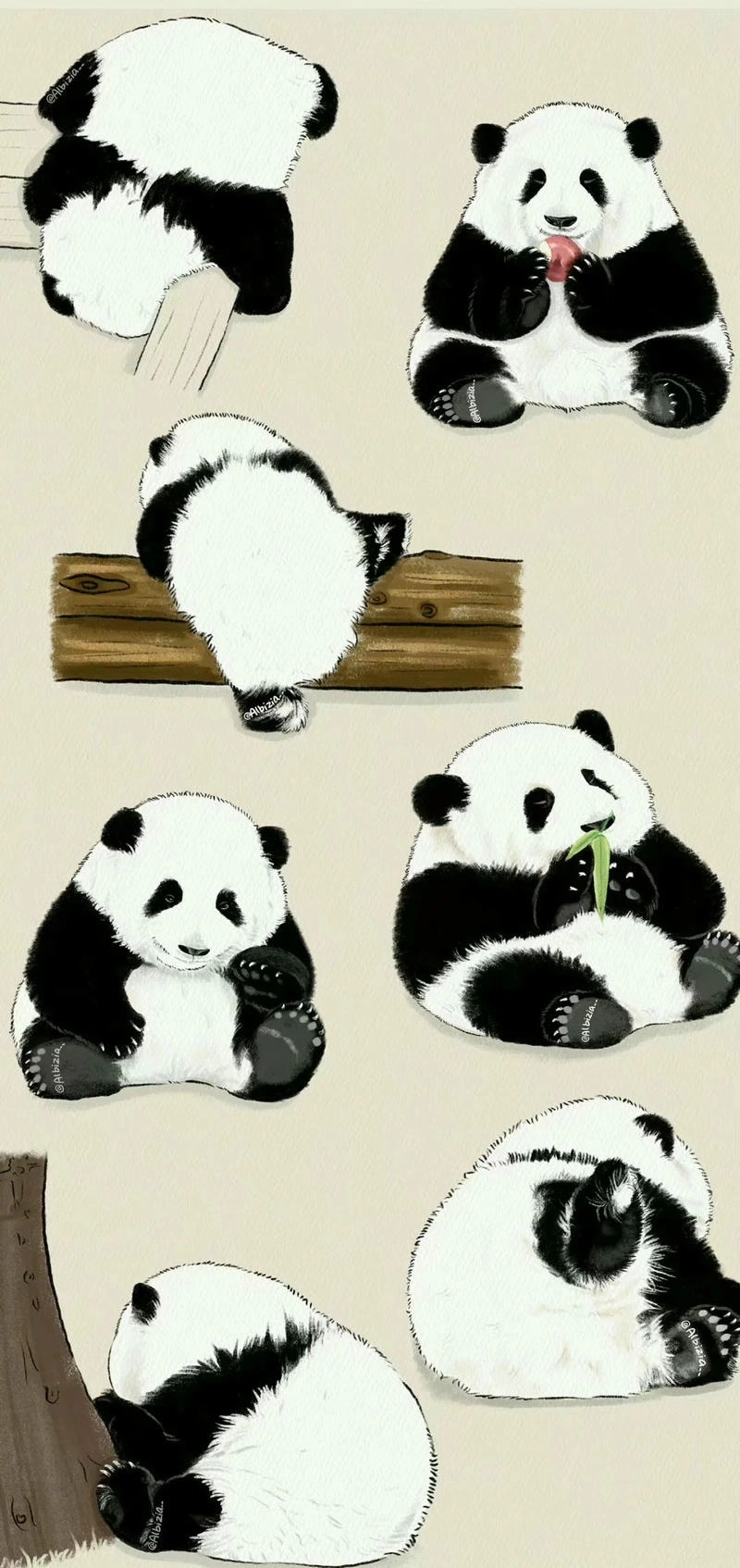 Hình nền Gấu Trúc chibi cute siêu yêu