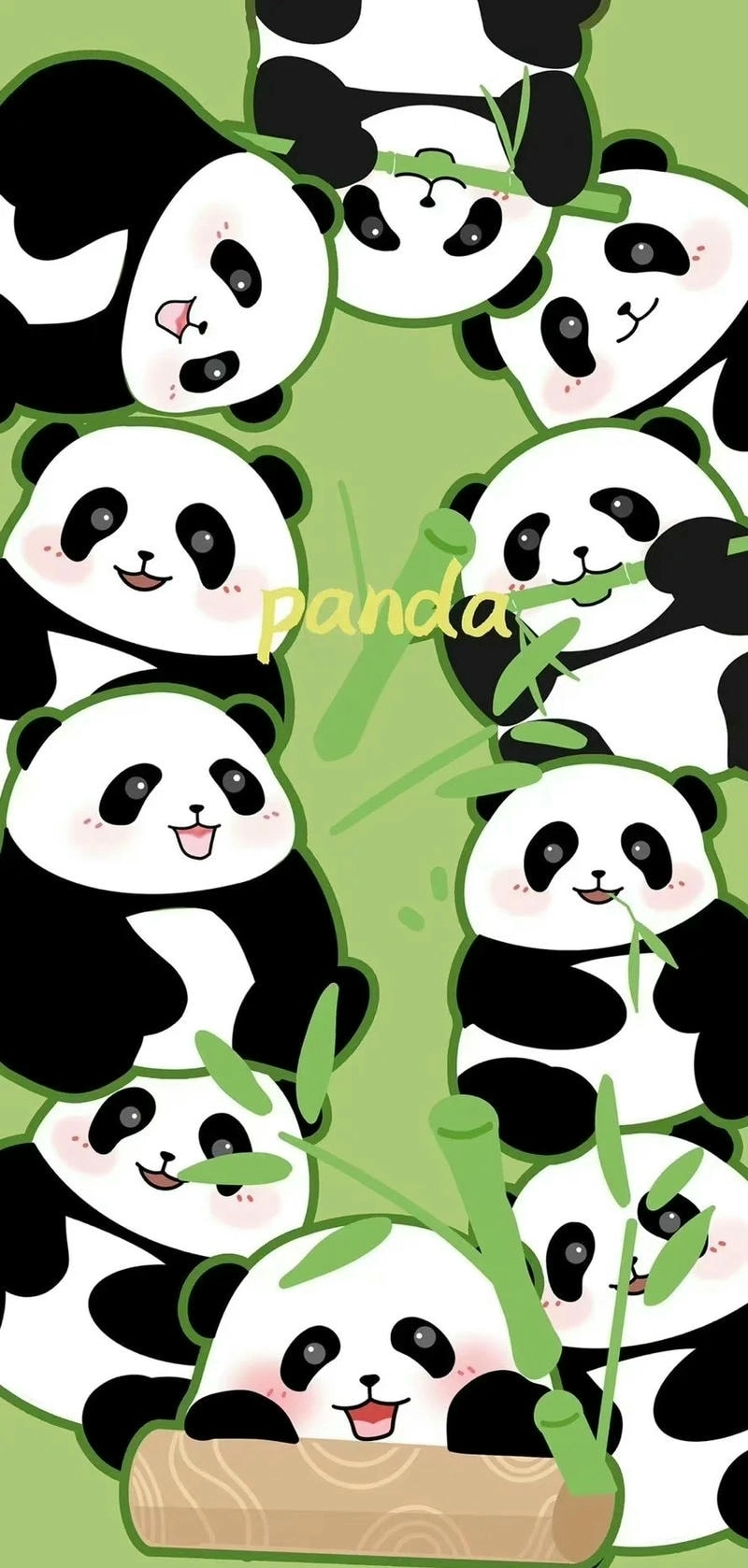 Hình nền Gấu Trúc cute cho điện thoại nữ