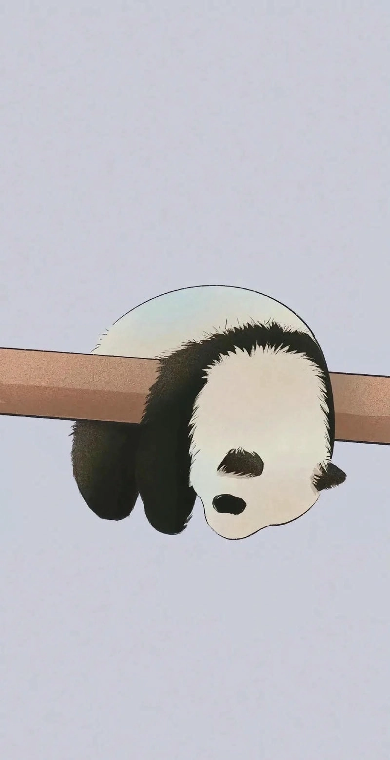 Hình nền Gấu Trúc ngồi cute đáng yêu