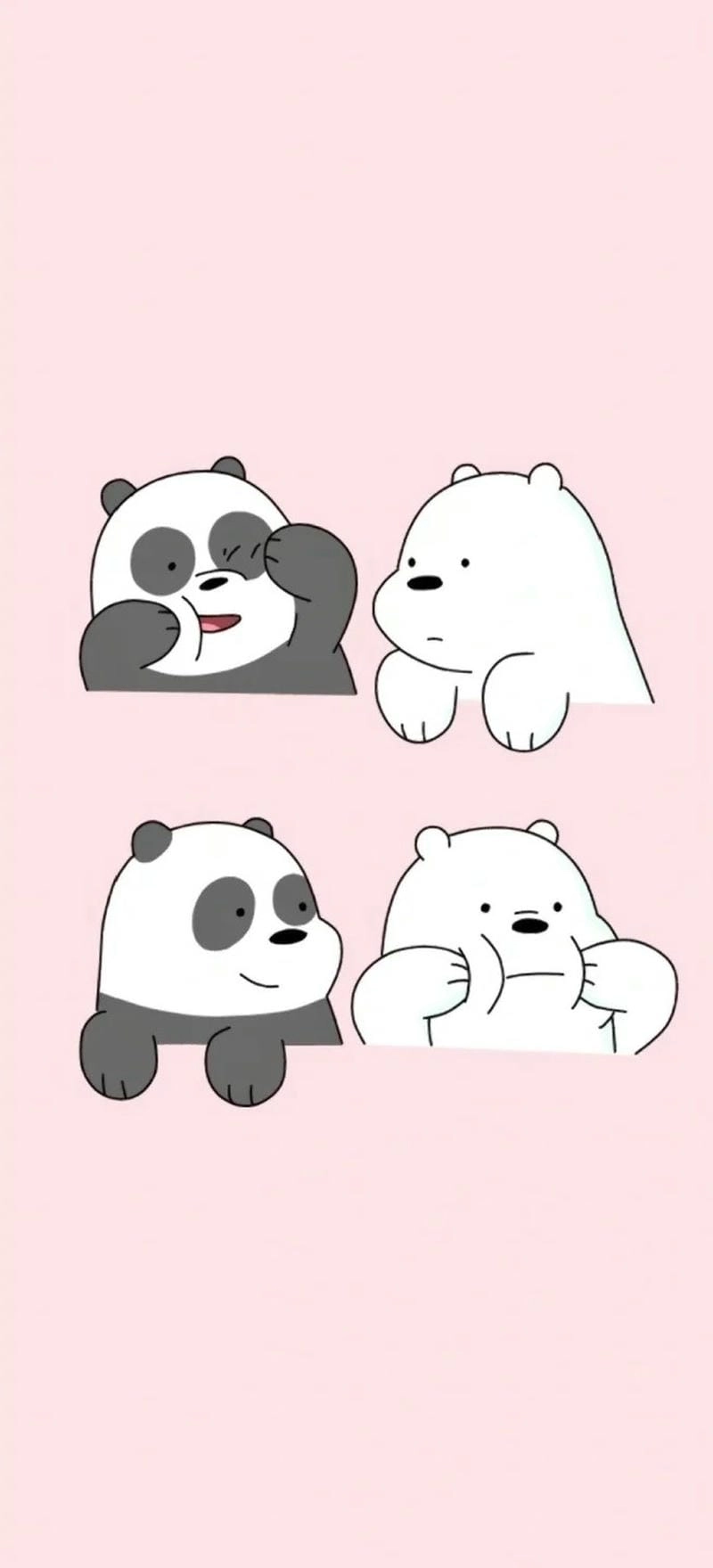 Hình nền gấu trắng cute đơn giản