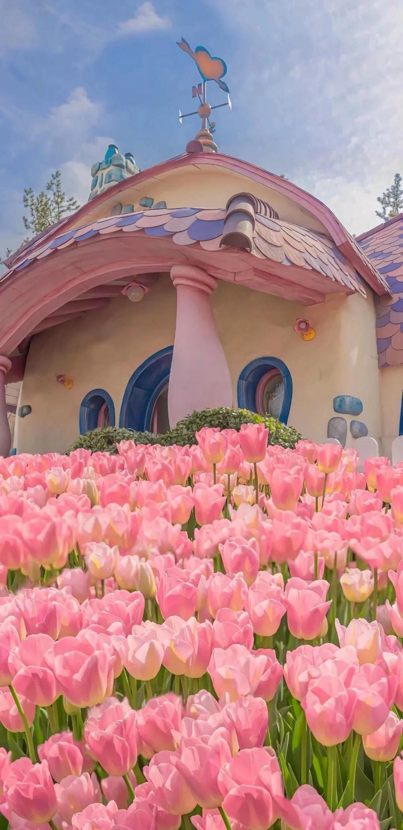 Hình nền iPad hoa Tulip cute