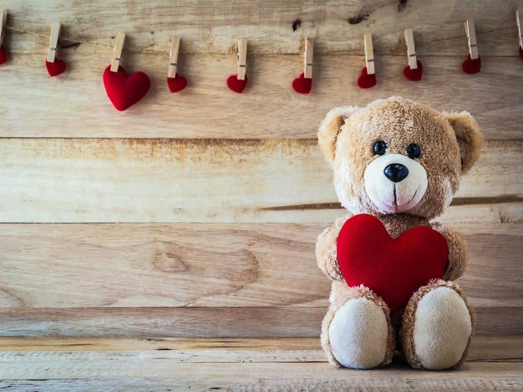 Hình nền máy tính Gấu Nâu cute