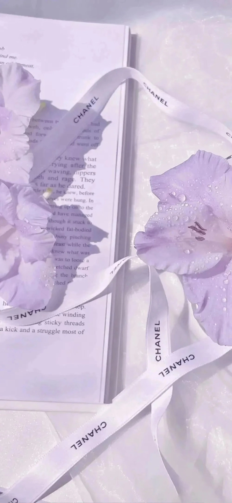 Mẫu nền màu tím pastel trơn đẹp