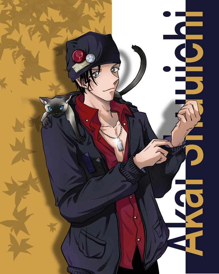 Detective Conan Akai Shuichi hình ảnh ngầu