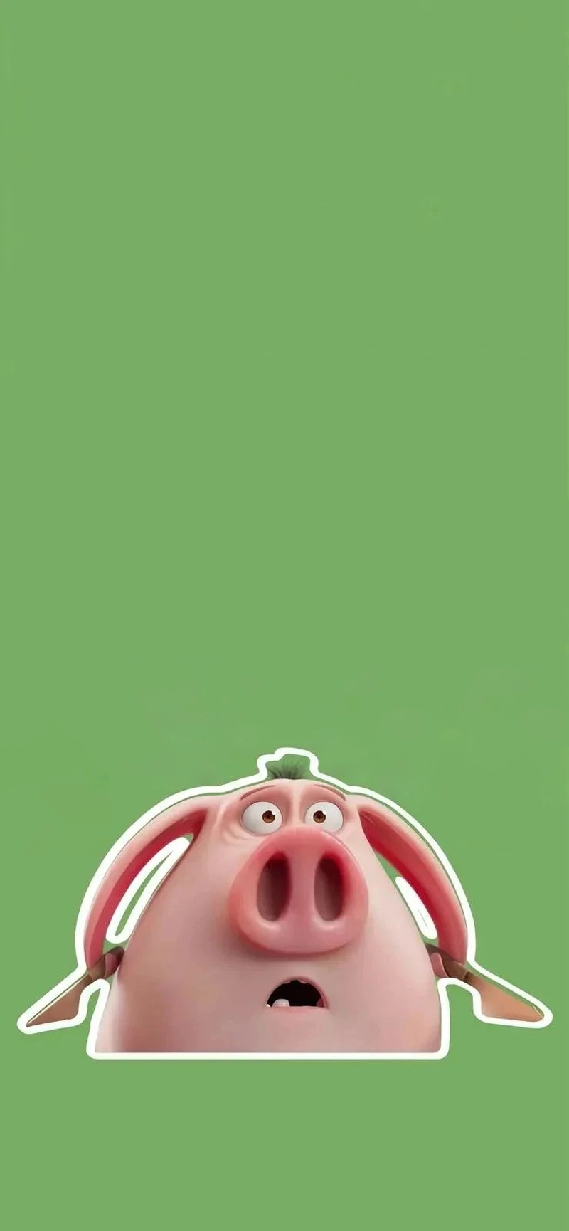 Hình nền con heo cute