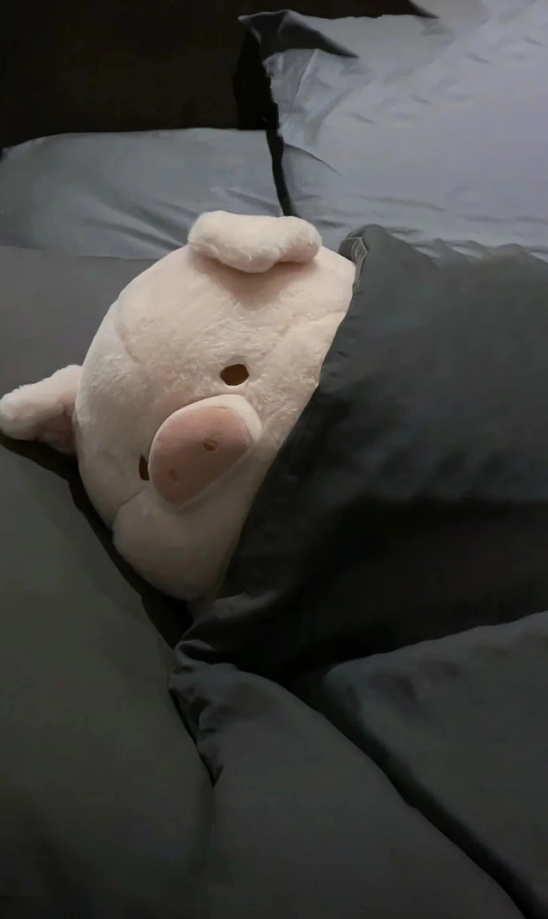 Hình nền con heo hồng cute
