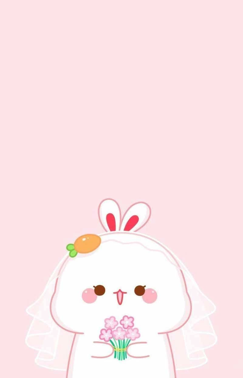 Hình nền điện thoại thỏ trắng cute