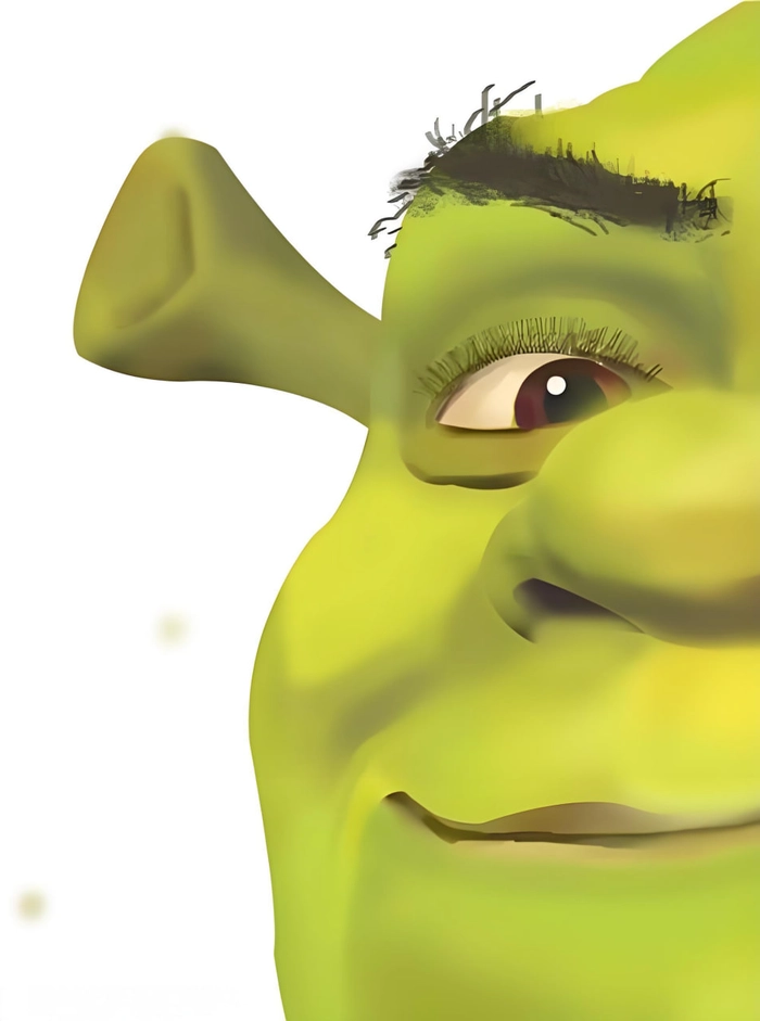 Ảnh Shrek meme vui nhộn đáng yêu