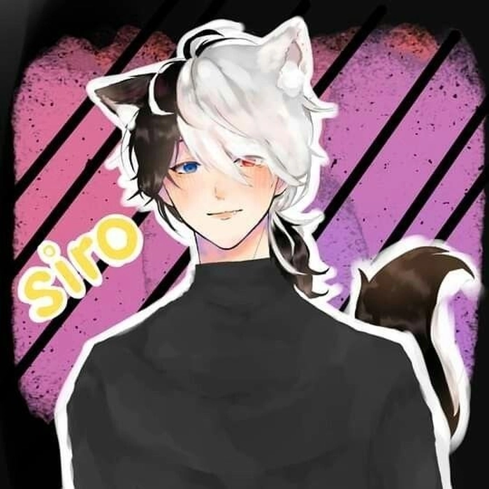 Ảnh Siro cute trong phiên bản chibi