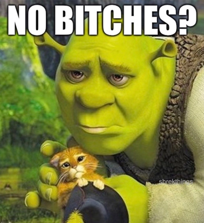 Ảnh chế Shrek meme vui nhộn lầy lội