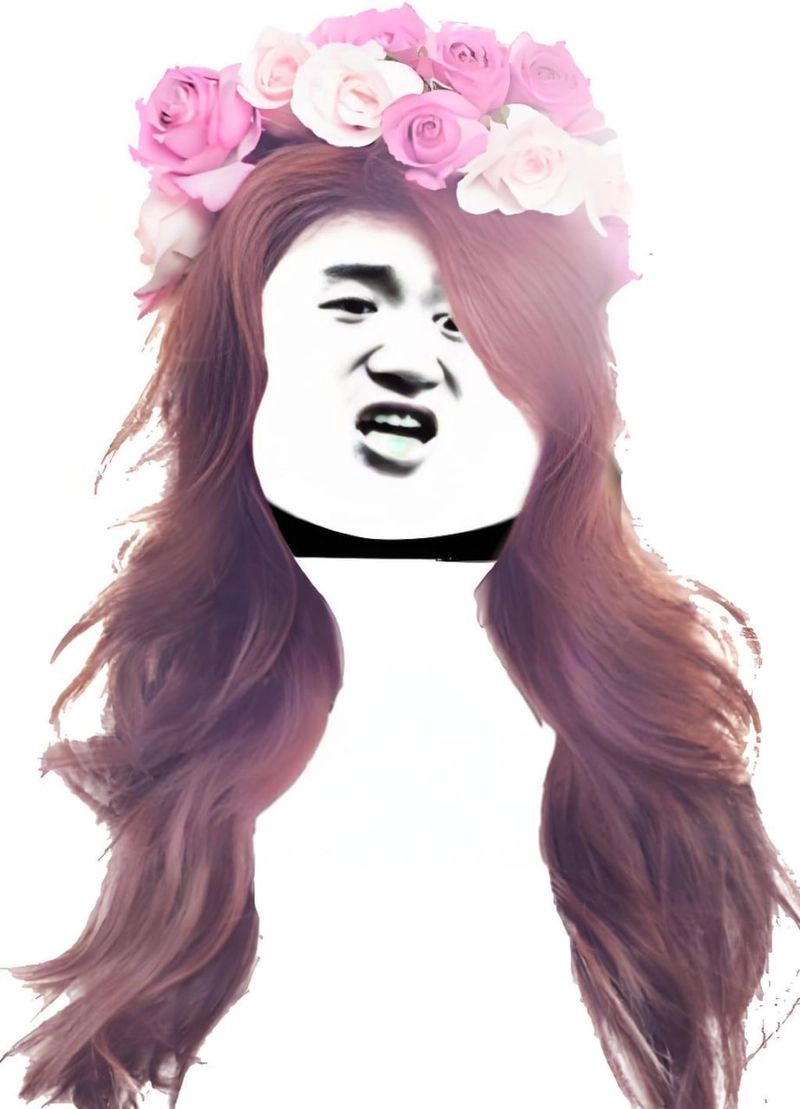 Ảnh chế gấu trúc slay troll bạn bè