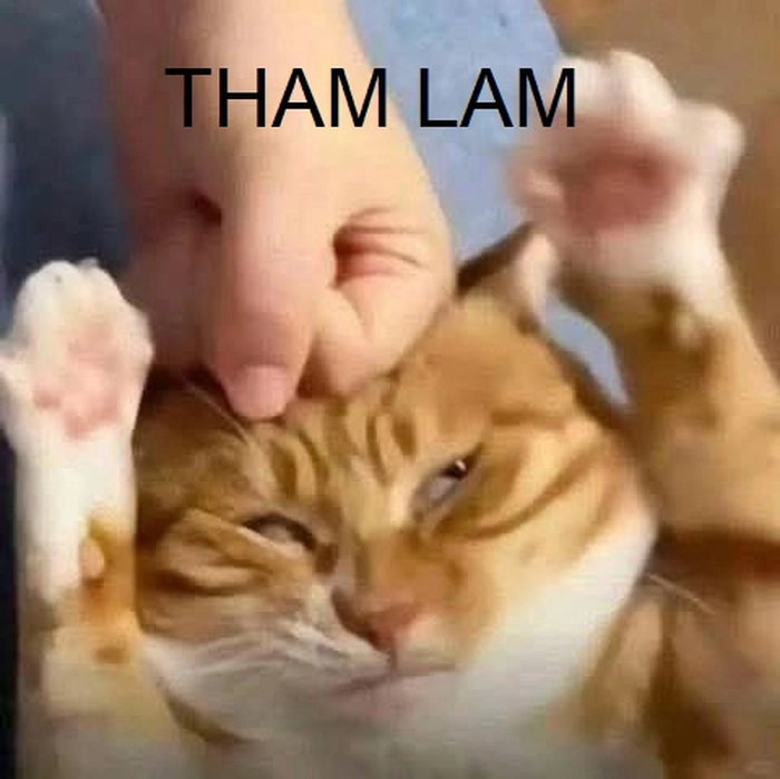 Ảnh chế meme tham lam