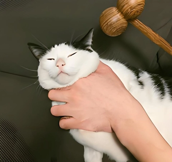 Ảnh chế meme thằng bé bị bóp cổ hài