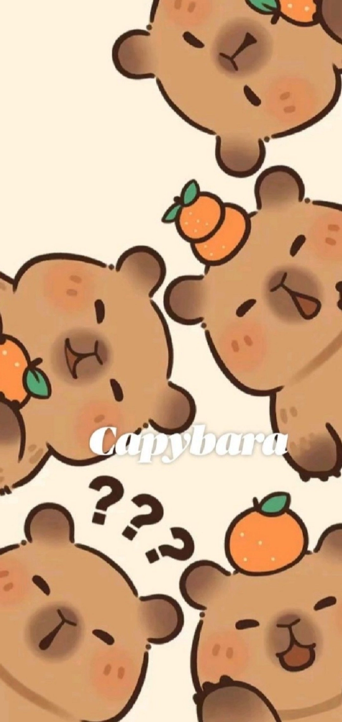 Ảnh đại diện hình nền Capybara cute hài hước