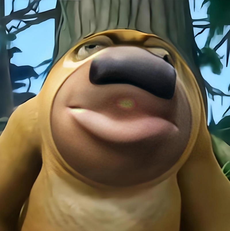 Ảnh gấu Boonie meme cực hài sáng tạo