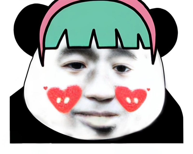 Ảnh gấu trúc slay chất troll bá đạo