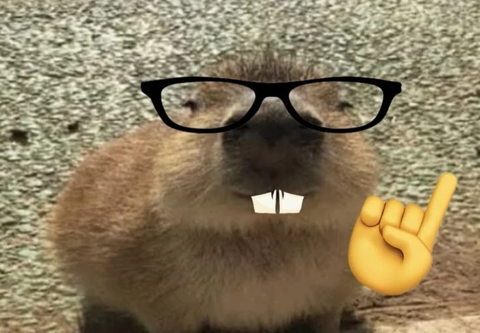 Ảnh meme capybara cực chất