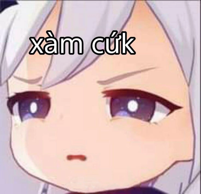 Ảnh meme chửi ngu siêu hot