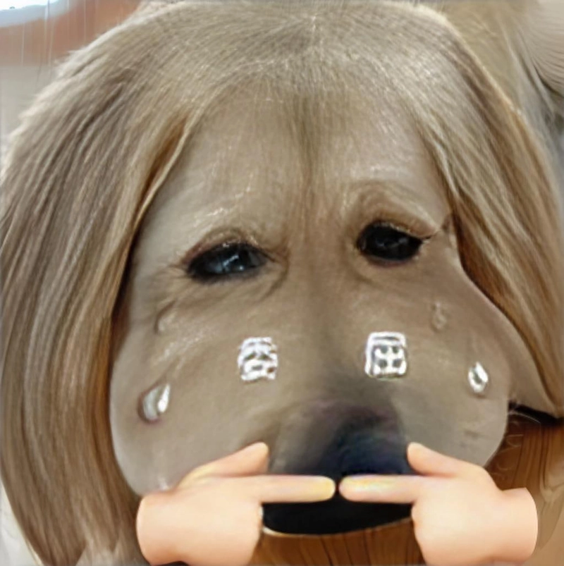 Ảnh meme đáng yêu ngộ nghĩnh được chia sẻ nhiều