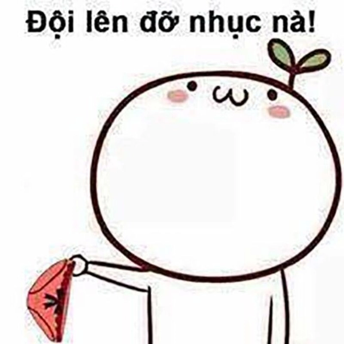 Ảnh meme đội quần hài hước bùng nổ