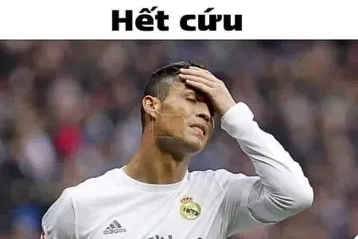 Ảnh meme hết cứu cười xỉu