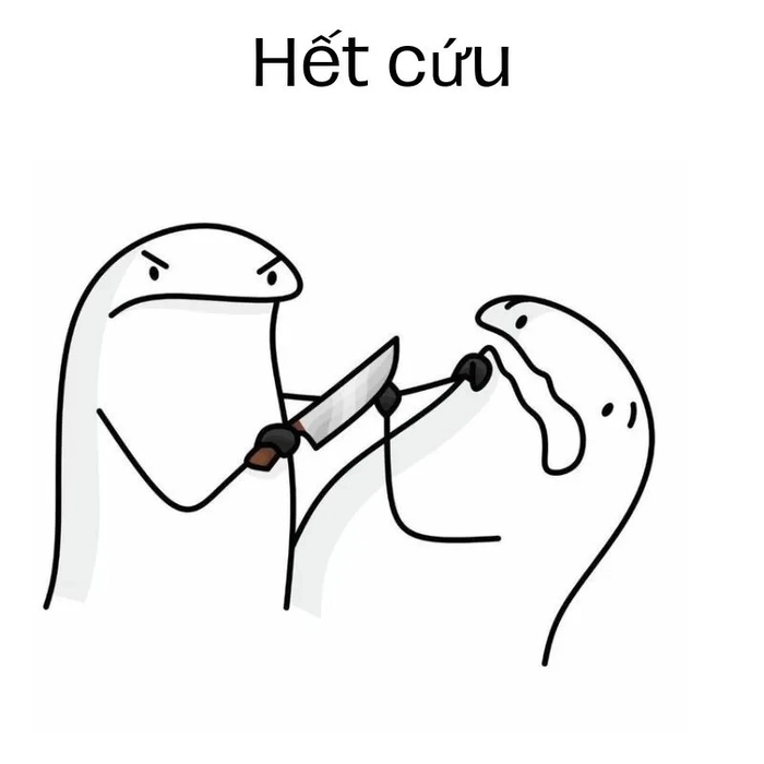 Ảnh meme hết cứu giải trí