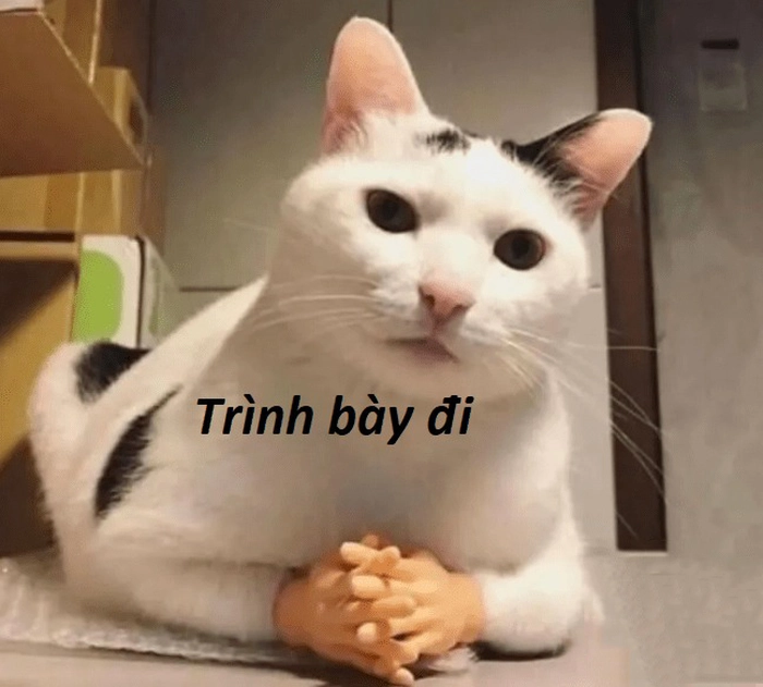 Ảnh meme ngầu cực hài và cuốn hút