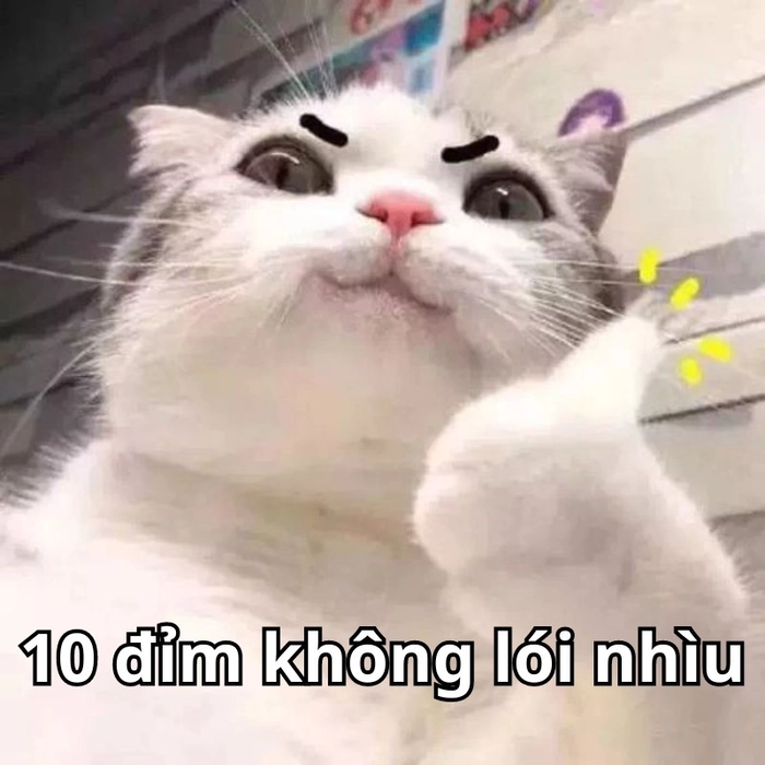 Ảnh meme ngầu hài hước lầy lội