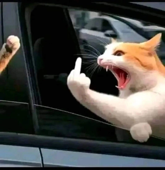 Ảnh meme ngón giữa bá cháy siêu hài