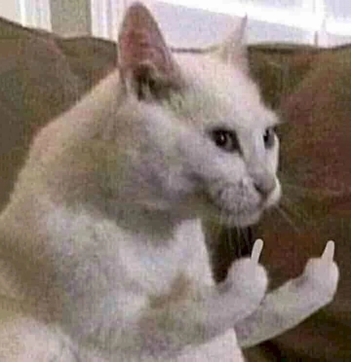 Ảnh meme ngón giữa chất chơi bá cháy