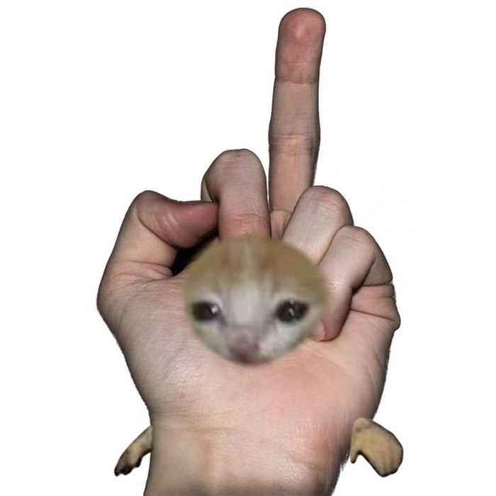 Ảnh ngón giữa meme hài hước siêu chất