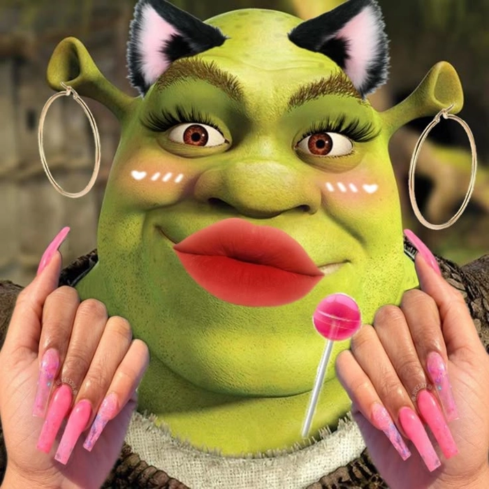 Bộ Shrek quái vật xanh meme bá đạo