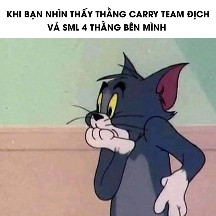 Bộ ảnh meme con mèo sợ hãi
