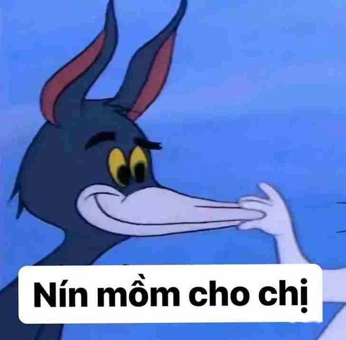 Bộ sưu tập meme chửi chất