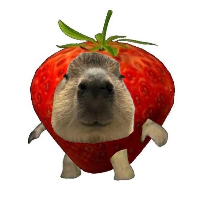 Capybara meme anime đáng yêu