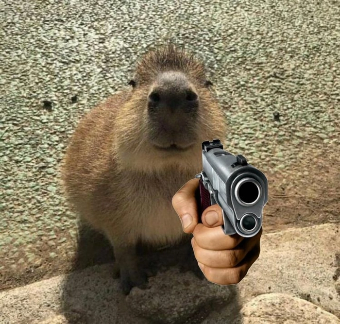 Capybara meme anime siêu chất