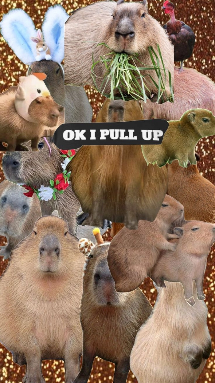 Capybara meme chibi dễ thương