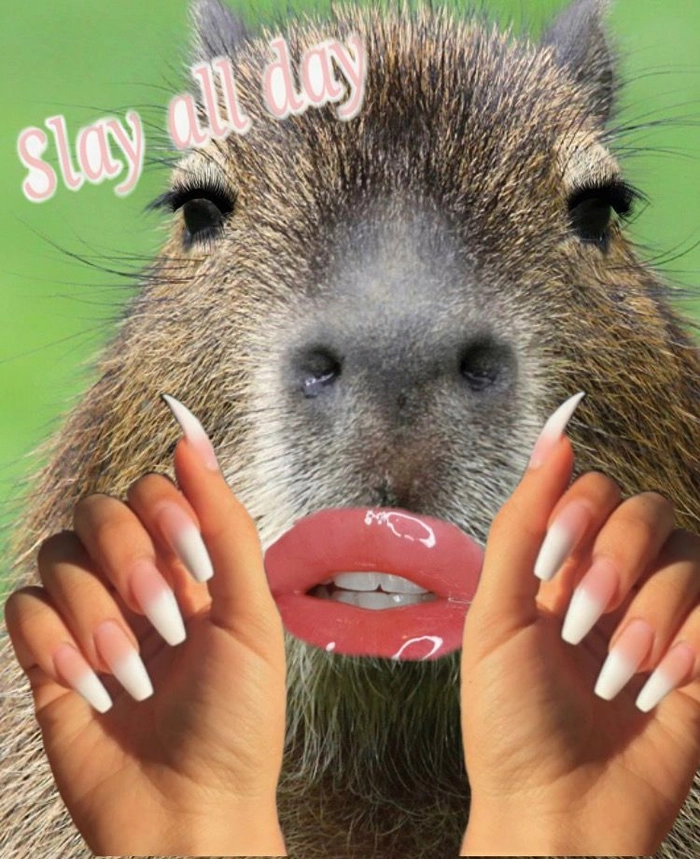 Capybara meme hét cực hài