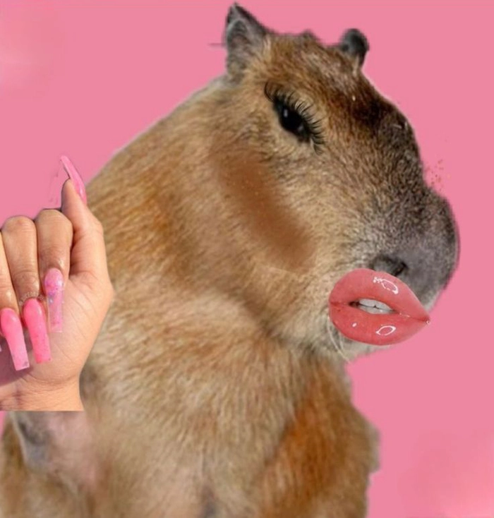 Capybara meme hét vui nhộn