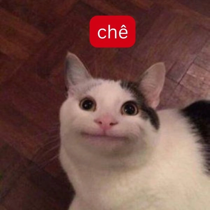 Chê meme vui tươi mang lại tiếng cười