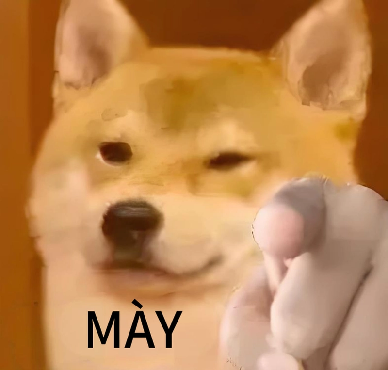 Đáng yêu meme hài hước lan tỏa năng lượng tích cực