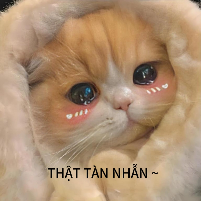 Đáng yêu meme sáng tạo phù hợp làm avatar