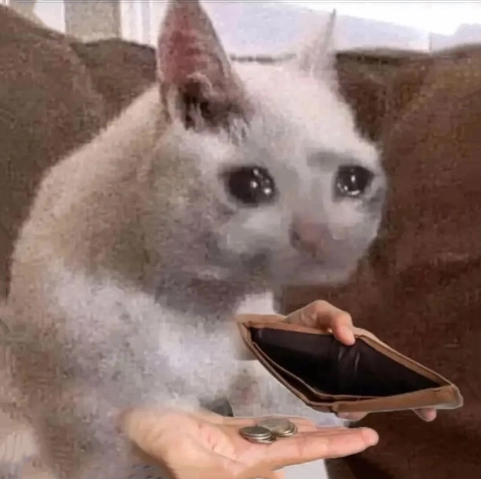 Hết tiền meme chế bá đạo khó nhịn cười