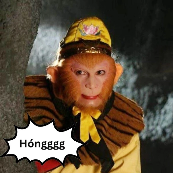 Hình Tôn Ngộ Không meme hài bá đạo