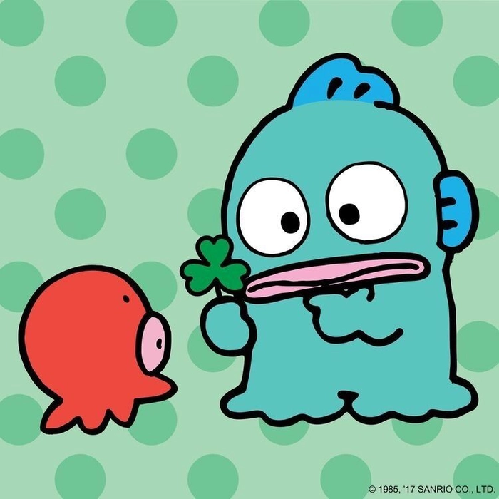 Hình ảnh cá hề cute đáng yêu hết nấc