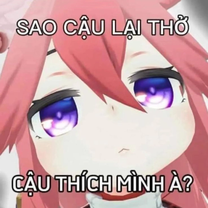 Hình ảnh meme Genshin Impact cute
