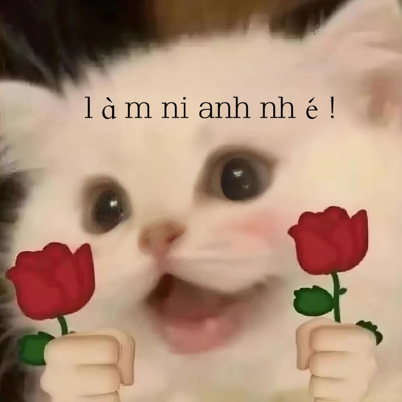 Hình ảnh meme đáng yêu cute làm avatar Zalo