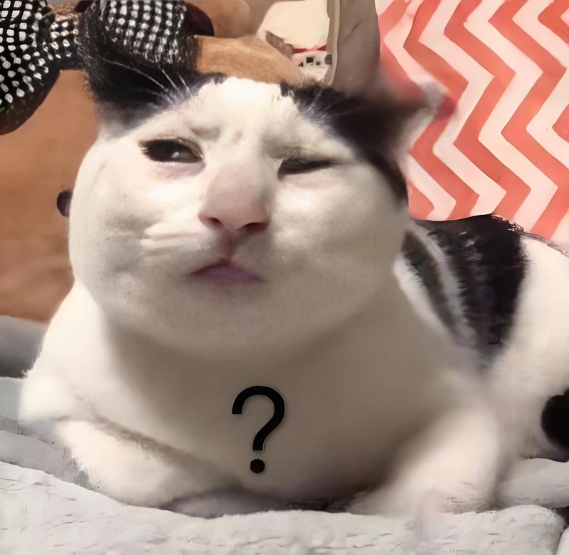 Hình ảnh meme đáng yêu hài hước tạo tiếng cười