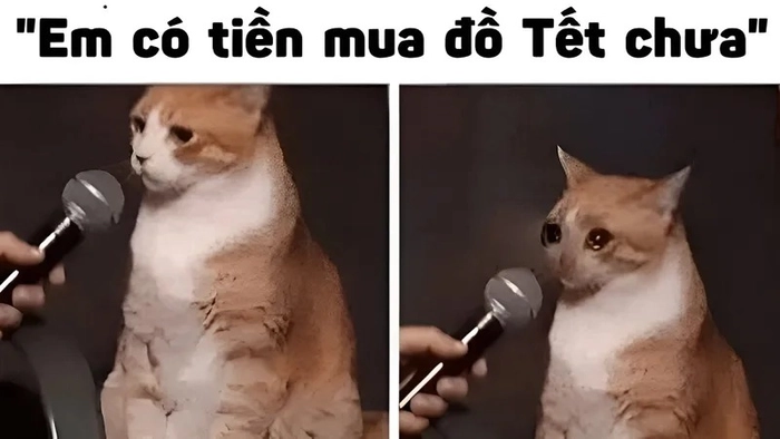 Hình ảnh meme ví hết tiền vui nhộn